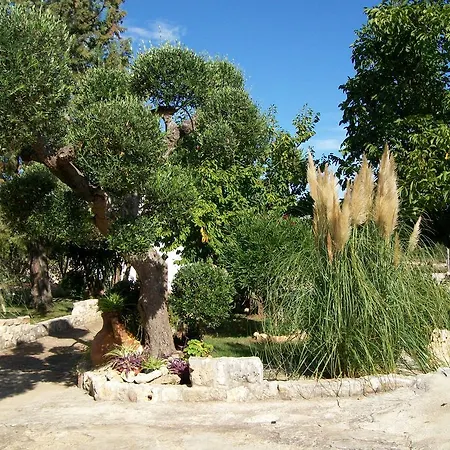 Farm stay I Trulli Di Zio Dino Cisternino
